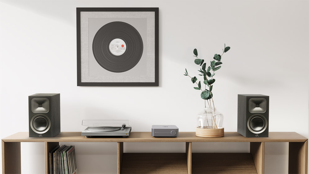 Wiim Amp + Martin Logan F B1 Bundle